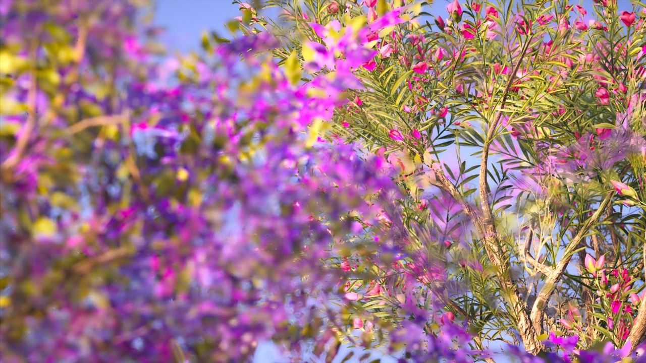 Studies on Breaking Immersion